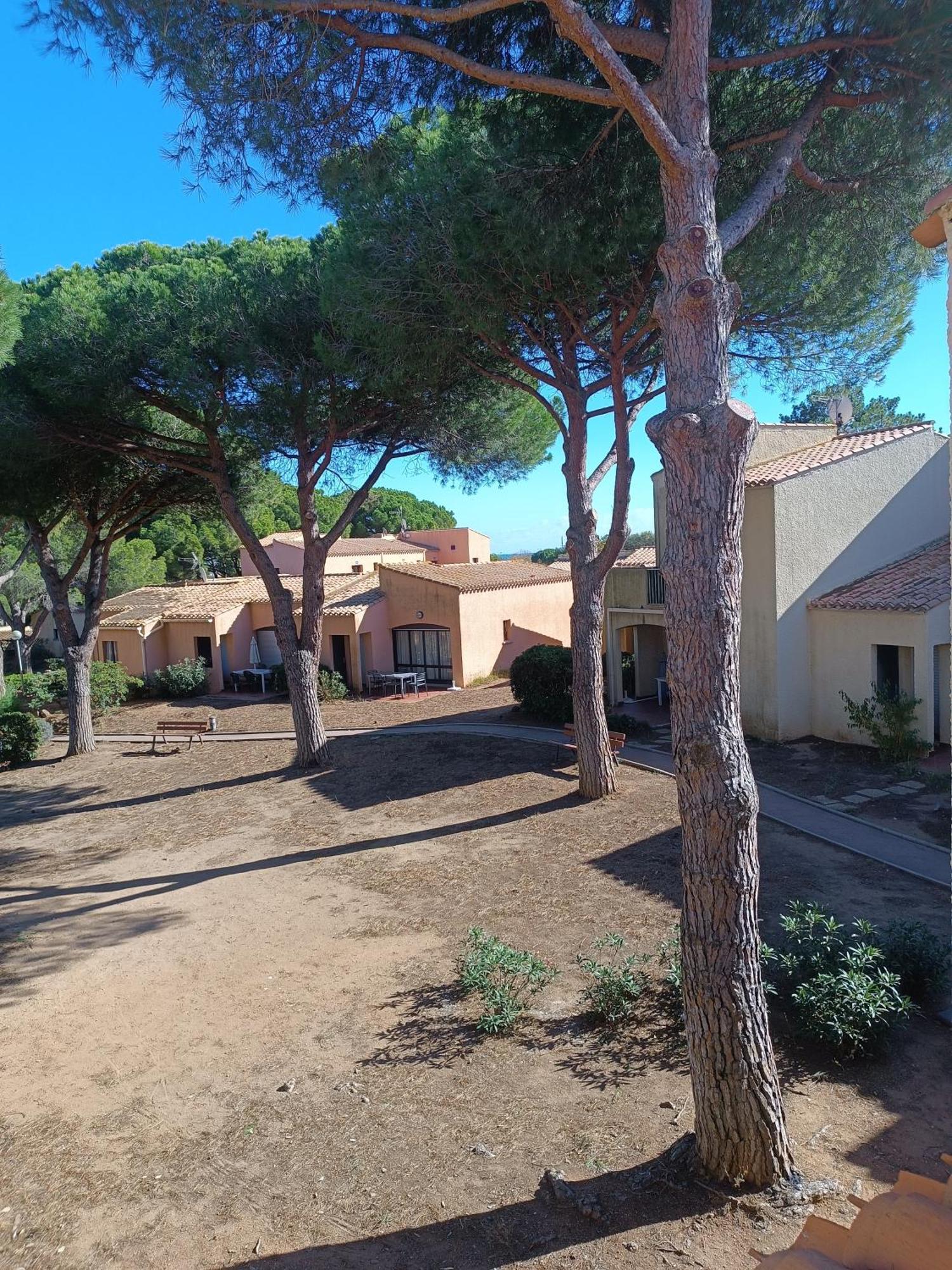 Studio Renove Dans Residence De Vacances Avec Grande Piscine Chauffee, Parking Et Terrasse Agde Zewnętrze zdjęcie